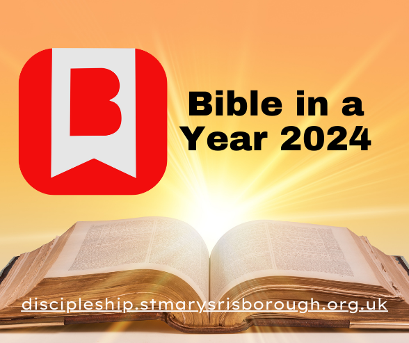 Bible in a year graphic
